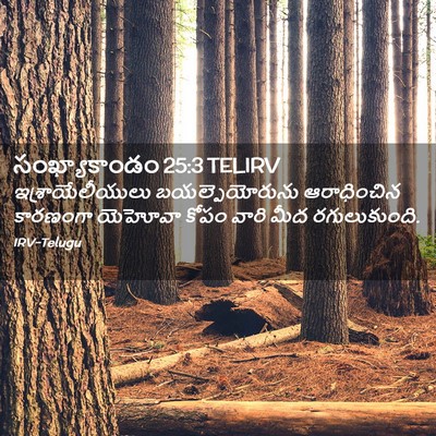 Picture 02 - సంఖ్యాకాండం 25:3 TELIRV - ఇశ్రాయేలీయులు - Bible Verse Picture
