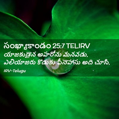 Picture 02 - సంఖ్యాకాండం 25:7 TELIRV - యాజకుడైన అహరోను - Bible Verse Picture