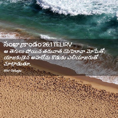 Picture 02 - సంఖ్యాకాండం 26:1 TELIRV - ఆ తెగులు పోయిన - Bible Verse Picture