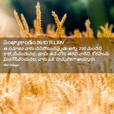 Picture 02 - సంఖ్యాకాండం 26:10 TELIRV - ఆ సమాజం వారు - Bible Verse Picture