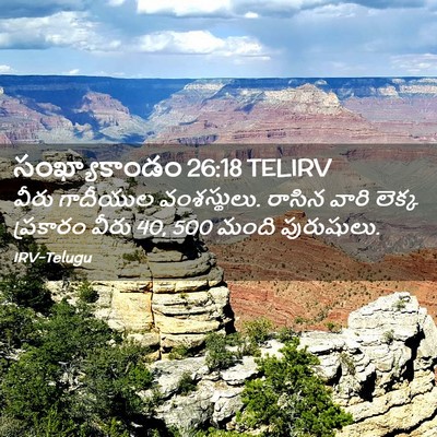 Picture 02 - సంఖ్యాకాండం 26:18 TELIRV - వీరు గాదీయుల - Bible Verse Picture