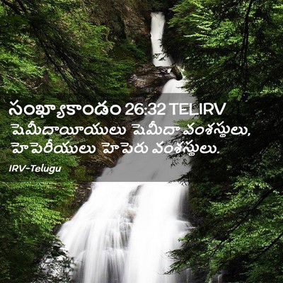 Picture 02 - సంఖ్యాకాండం 26:32 TELIRV - షెమీదాయీయులు - Bible Verse Picture