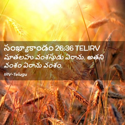 Picture 02 - సంఖ్యాకాండం 26:36 TELIRV - షూతలహు వంశస్థుడు - Bible Verse Picture