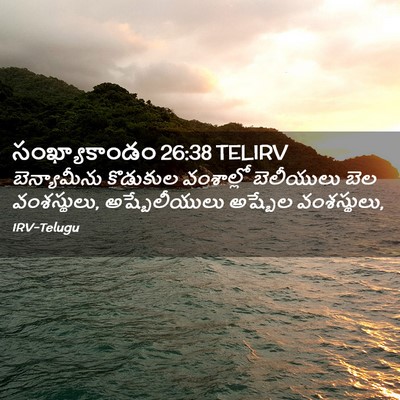 Picture 02 - సంఖ్యాకాండం 26:38 TELIRV - బెన్యామీను - Bible Verse Picture