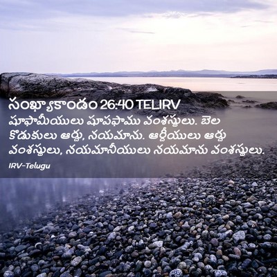 Picture 02 - సంఖ్యాకాండం 26:40 TELIRV - షూఫామీయులు - Bible Verse Picture