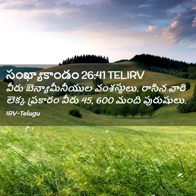 Picture 02 - సంఖ్యాకాండం 26:41 TELIRV - వీరు - Bible Verse Picture