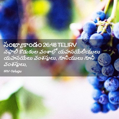 Picture 02 - సంఖ్యాకాండం 26:48 TELIRV - నఫ్తాలీ కొడుకుల - Bible Verse Picture
