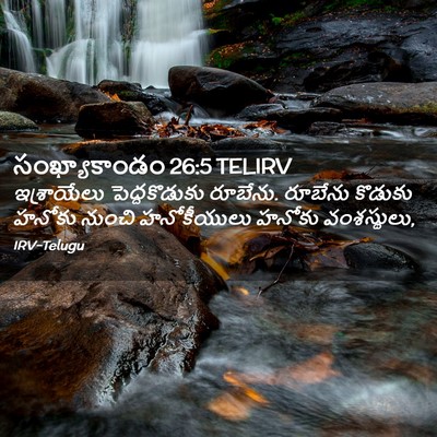 Picture 02 - సంఖ్యాకాండం 26:5 TELIRV - ఇశ్రాయేలు - Bible Verse Picture