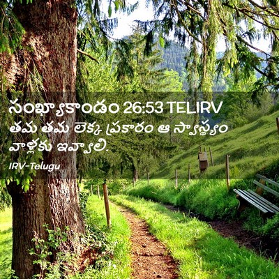 Picture 02 - సంఖ్యాకాండం 26:53 TELIRV - తమ తమ లెక్క - Bible Verse Picture
