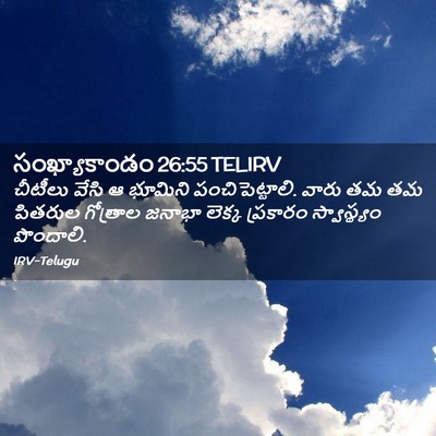 Picture 02 - సంఖ్యాకాండం 26:55 TELIRV - చీటీలు వేసి ఆ - Bible Verse Picture