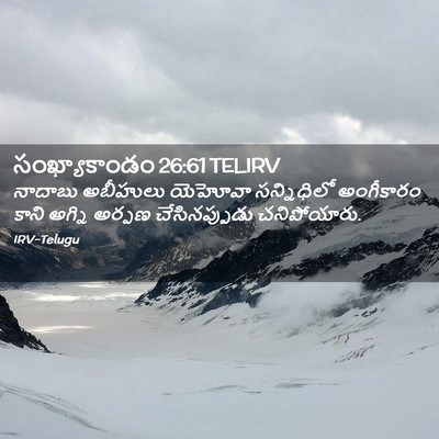 Picture 02 - సంఖ్యాకాండం 26:61 TELIRV - నాదాబు అబీహులు - Bible Verse Picture