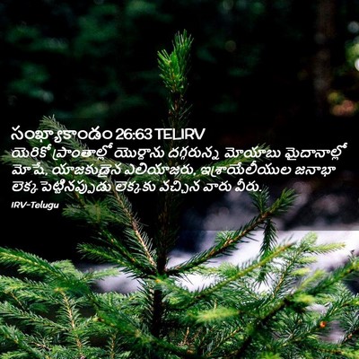 Picture 02 - సంఖ్యాకాండం 26:63 TELIRV - యెరికో - Bible Verse Picture