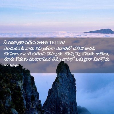 Picture 02 - సంఖ్యాకాండం 26:65 TELIRV - ఎందుకంటే వారు - Bible Verse Picture