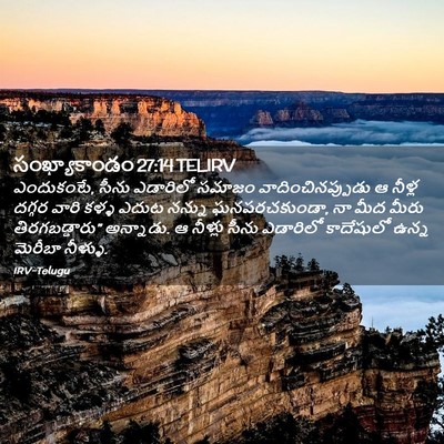 Picture 02 - సంఖ్యాకాండం 27:14 TELIRV - ఎందుకంటే, సీను - Bible Verse Picture