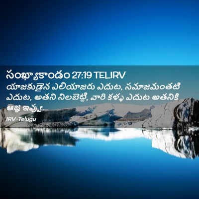 Picture 02 - సంఖ్యాకాండం 27:19 TELIRV - యాజకుడైన ఎలియాజరు - Bible Verse Picture