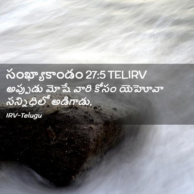 Picture 02 - సంఖ్యాకాండం 27:5 TELIRV - అప్పుడు మోషే వారి - Bible Verse Picture