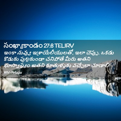 Picture 02 - సంఖ్యాకాండం 27:8 TELIRV - ఇంకా నువ్వు - Bible Verse Picture