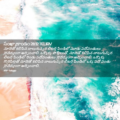 Picture 02 - సంఖ్యాకాండం 28:12 TELIRV - నూనెతో కలిపిన - Bible Verse Picture