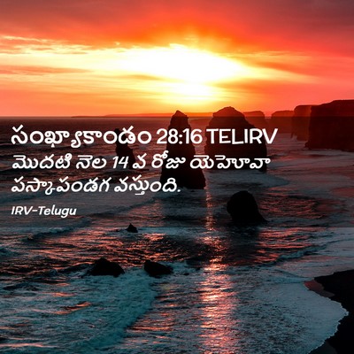 Picture 02 - సంఖ్యాకాండం 28:16 TELIRV - మొదటి నెల 14 వ రోజు - Bible Verse Picture