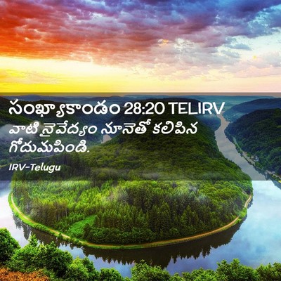 Picture 02 - సంఖ్యాకాండం 28:20 TELIRV - వాటి నైవేద్యం - Bible Verse Picture