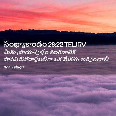 Picture 02 - సంఖ్యాకాండం 28:22 TELIRV - మీకు - Bible Verse Picture