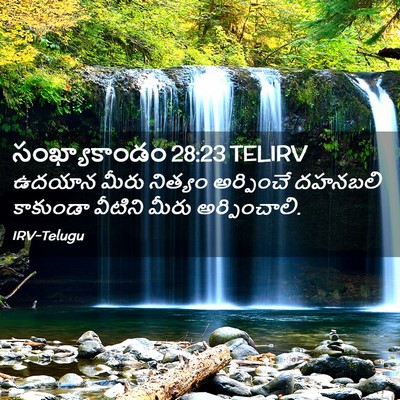 Picture 02 - సంఖ్యాకాండం 28:23 TELIRV - ఉదయాన మీరు నిత్యం - Bible Verse Picture