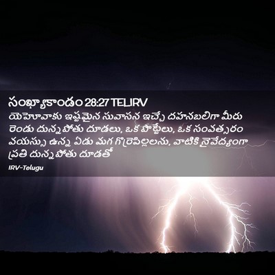 Picture 02 - సంఖ్యాకాండం 28:27 TELIRV - యెహోవాకు ఇష్టమైన - Bible Verse Picture