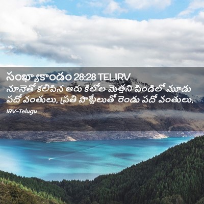 Picture 02 - సంఖ్యాకాండం 28:28 TELIRV - నూనెతో కలిపిన ఆరు - Bible Verse Picture