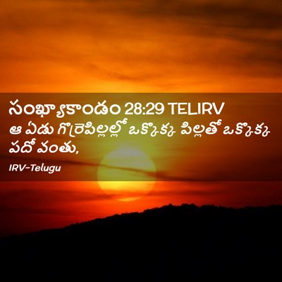 Picture 02 - సంఖ్యాకాండం 28:29 TELIRV - ఆ ఏడు - Bible Verse Picture