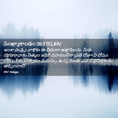 Picture 02 - సంఖ్యాకాండం 28:3 TELIRV - ఇంకా నువ్వు - Bible Verse Picture