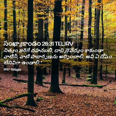 Picture 02 - సంఖ్యాకాండం 28:31 TELIRV - నిత్యం జరిగే - Bible Verse Picture