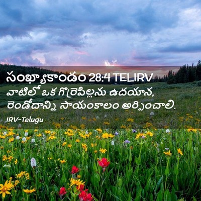 Picture 02 - సంఖ్యాకాండం 28:4 TELIRV - వాటిలో ఒక - Bible Verse Picture