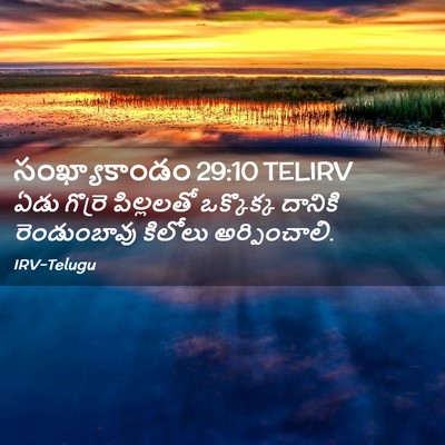 Picture 02 - సంఖ్యాకాండం 29:10 TELIRV - ఏడు గొర్రె - Bible Verse Picture