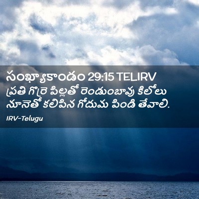 Picture 02 - సంఖ్యాకాండం 29:15 TELIRV - ప్రతి గొర్రె - Bible Verse Picture