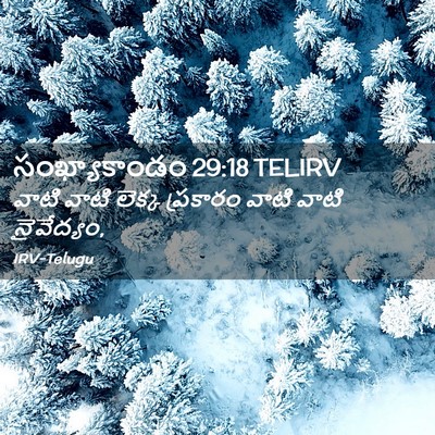 Picture 02 - సంఖ్యాకాండం 29:18 TELIRV - వాటి వాటి లెక్క - Bible Verse Picture