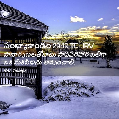 Picture 02 - సంఖ్యాకాండం 29:19 TELIRV - పానార్పణలతోబాటు - Bible Verse Picture