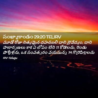 Picture 02 - సంఖ్యాకాండం 29:20 TELIRV - మూడో రోజు - Bible Verse Picture