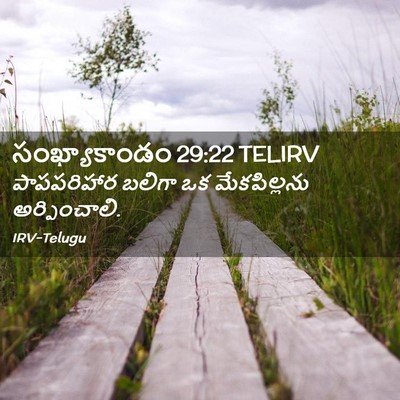Picture 02 - సంఖ్యాకాండం 29:22 TELIRV - పాపపరిహార బలిగా - Bible Verse Picture