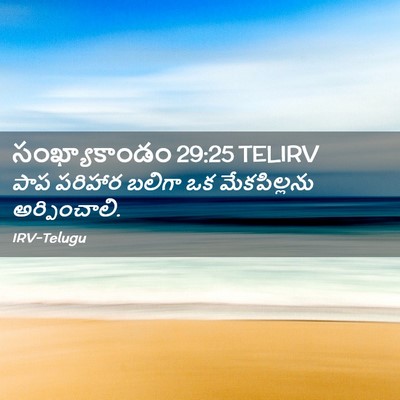 Picture 02 - సంఖ్యాకాండం 29:25 TELIRV - పాప పరిహార బలిగా - Bible Verse Picture
