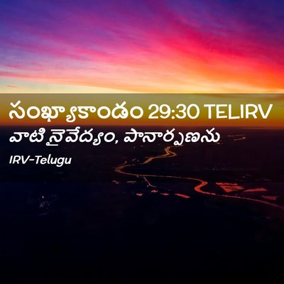 Picture 02 - సంఖ్యాకాండం 29:30 TELIRV - వాటి నైవేద్యం, - Bible Verse Picture