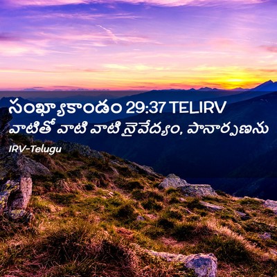 Picture 02 - సంఖ్యాకాండం 29:37 TELIRV - వాటితో వాటి వాటి - Bible Verse Picture