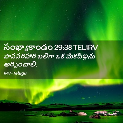 Picture 02 - సంఖ్యాకాండం 29:38 TELIRV - పాపపరిహార బలిగా - Bible Verse Picture