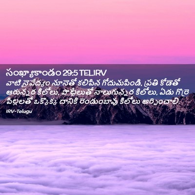Picture 02 - సంఖ్యాకాండం 29:5 TELIRV - వాటి నైవేద్యం - Bible Verse Picture