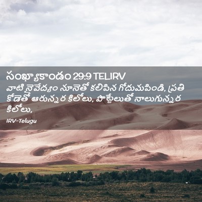 Picture 02 - సంఖ్యాకాండం 29:9 TELIRV - వాటి నైవేద్యం - Bible Verse Picture