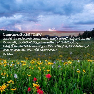Picture 02 - సంఖ్యాకాండం 3:13 TELIRV - మొదటి సంతానం నాకు - Bible Verse Picture