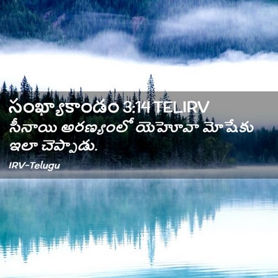 Picture 02 - సంఖ్యాకాండం 3:14 TELIRV - సీనాయి అరణ్యంలో - Bible Verse Picture