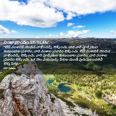 Picture 02 - సంఖ్యాకాండం 3:15 TELIRV - “లేవీ వంశానికి - Bible Verse Picture
