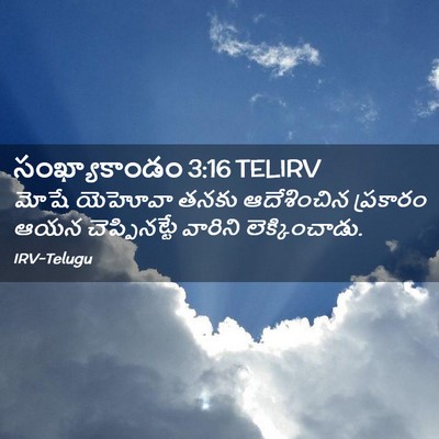 Picture 02 - సంఖ్యాకాండం 3:16 TELIRV - మోషే యెహోవా తనకు - Bible Verse Picture