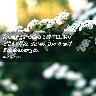Picture 02 - సంఖ్యాకాండం 3:17 TELIRV - లేవీకి గెర్షోను, - Bible Verse Picture