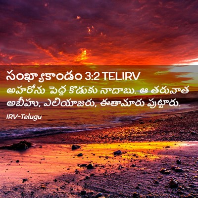 Picture 02 - సంఖ్యాకాండం 3:2 TELIRV - అహరోను పెద్ద - Bible Verse Picture